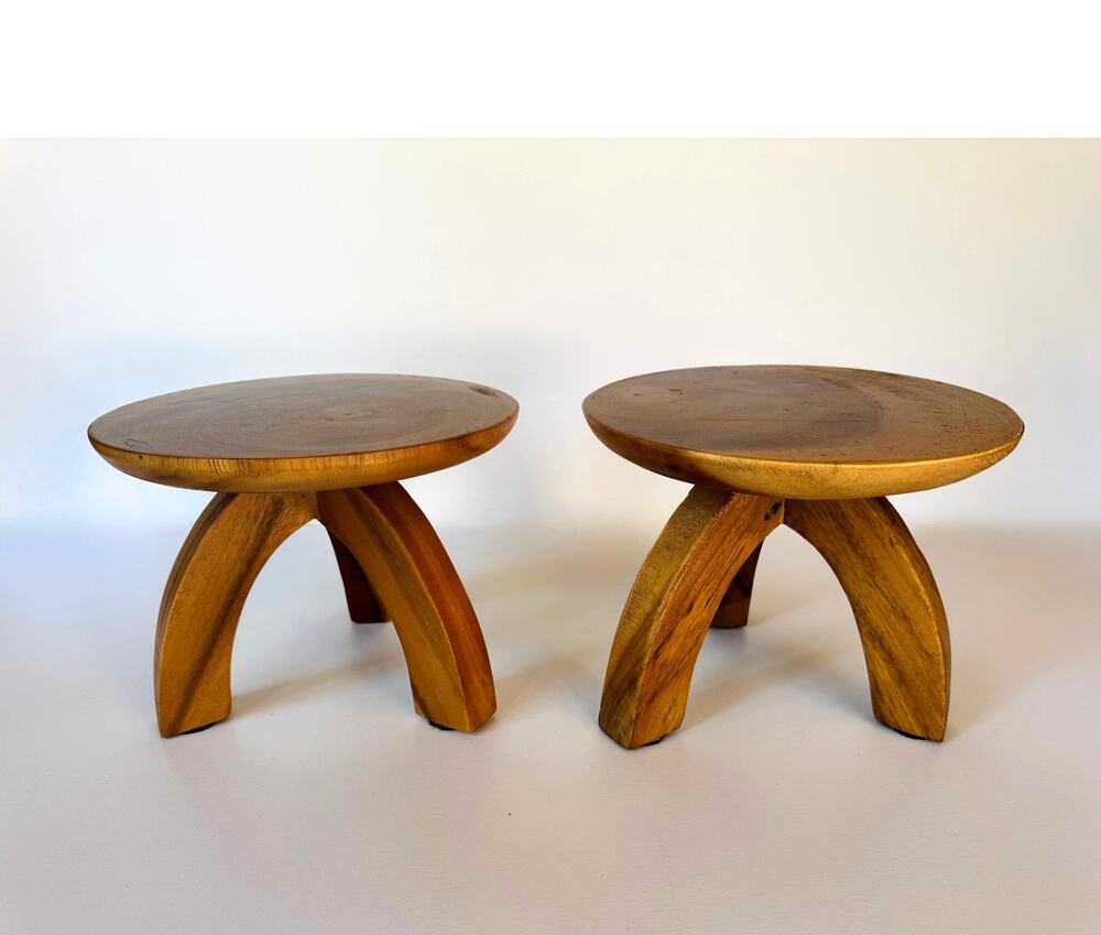 Pair of Jati Visions Aegis Mungur Wood Plant Stands